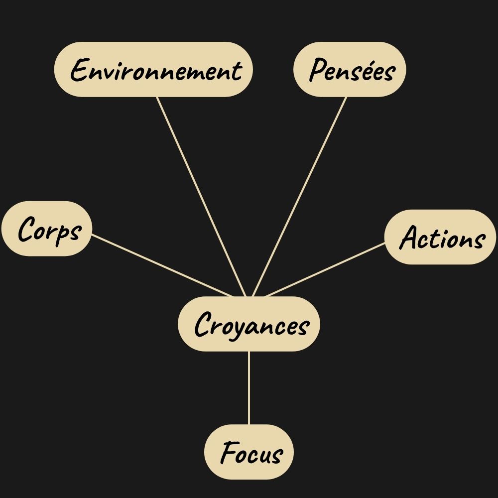 Corps - Actions - Pensées - Environnement